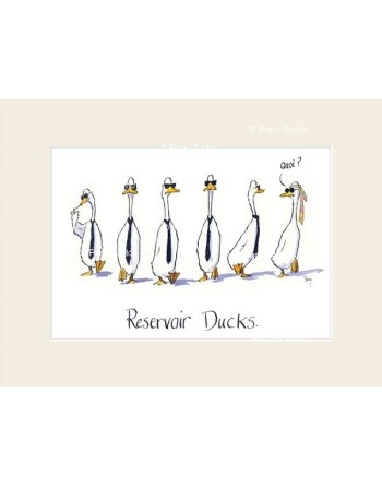 Reservoir Ducks