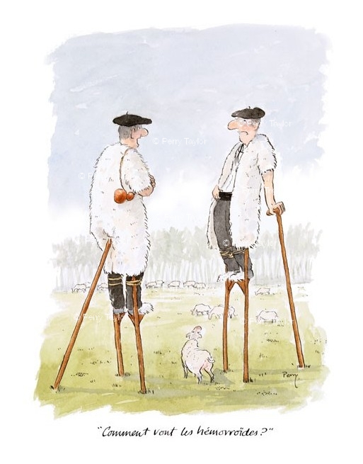 How are the hemorrhoids?