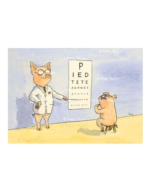 A pig at the opticians