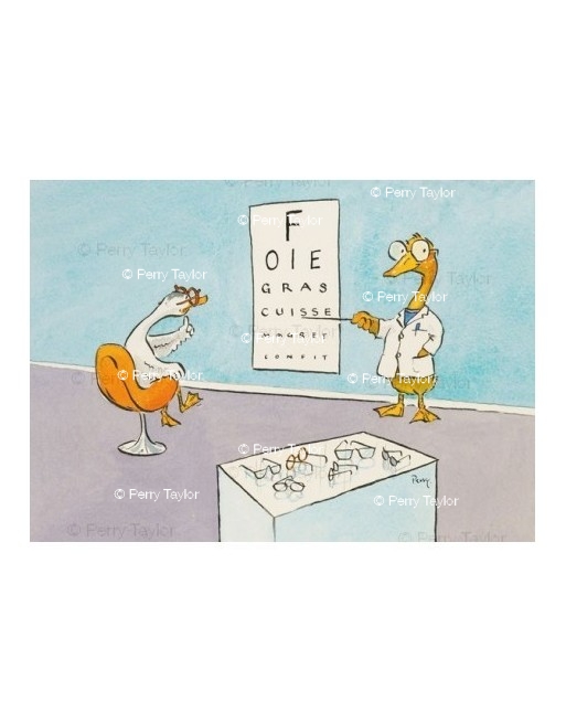 A duck at the opticians