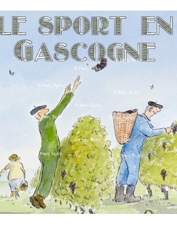 Sports in Gascony. Basketball. Detail.