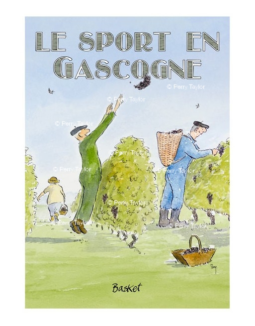 Le sport en Gascogne. Basket.