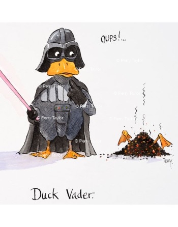 Duck Vader.  Greetings cards.