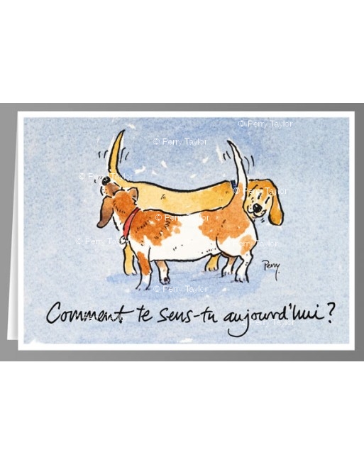 Comment te sens-tu aujourd'hui ?