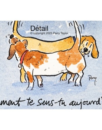 Comment te sens-tu aujourd'hui ? Détail.