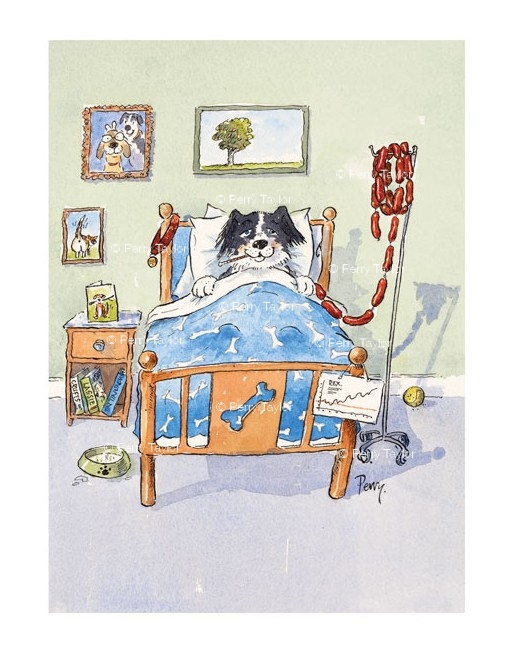 Sick as a dog, feeling better by the day.