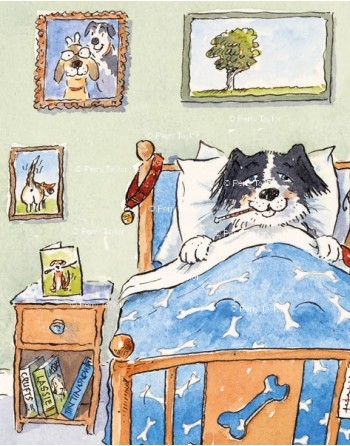 Sick as a dog, feeling better by the day. Detail.