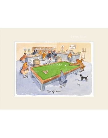 Pool Gascon, avec passepartout