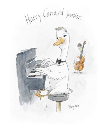 Harry Canard Junior
