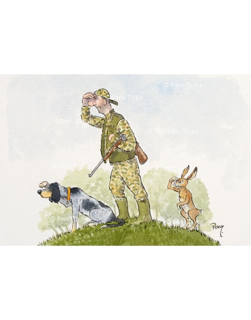 Hunting for hare.