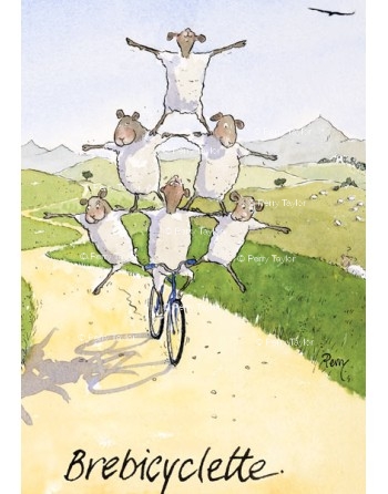 Brebicyclette. Détail.