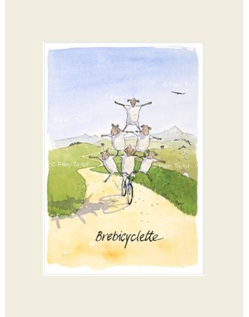 Brebicyclette. Avec passepartout.