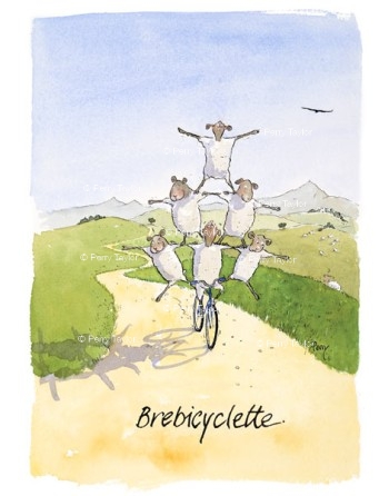 Brebicyclette.