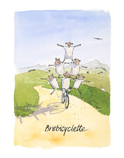 Brebicyclette.