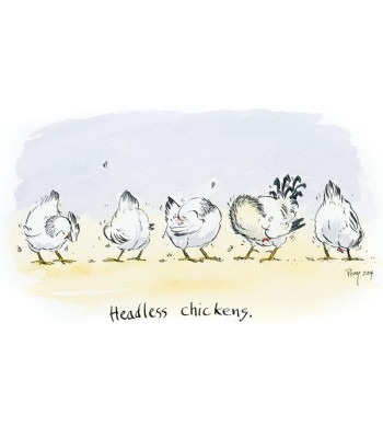 Headless Chickens