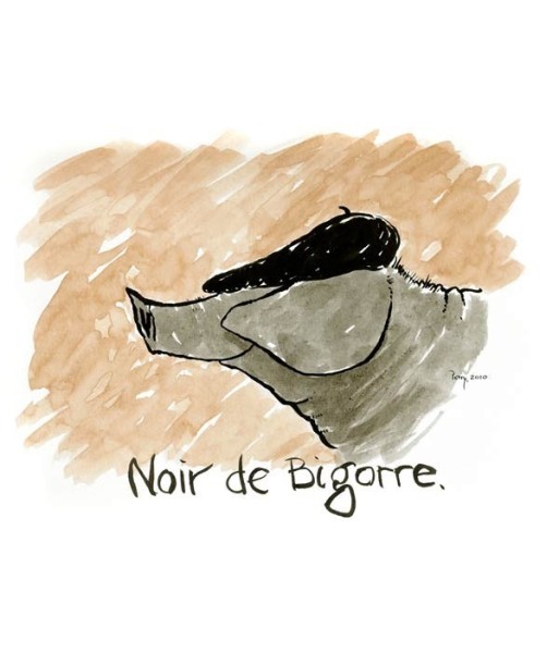 Black Pig - Noir de Bigorre