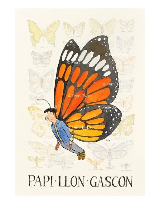 Papillon Gascon