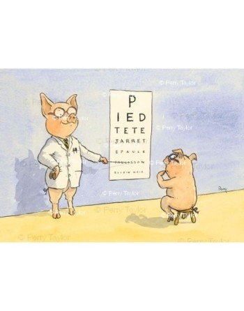 A pig at the opticians