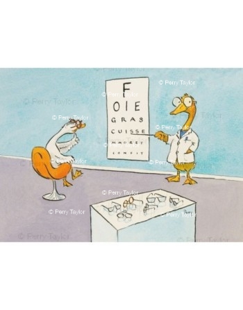 A duck at the opticians