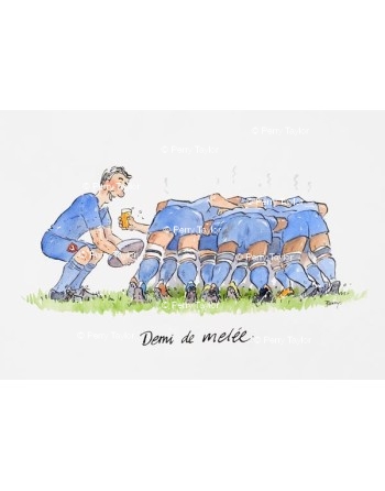 Scrum half - demi de melée