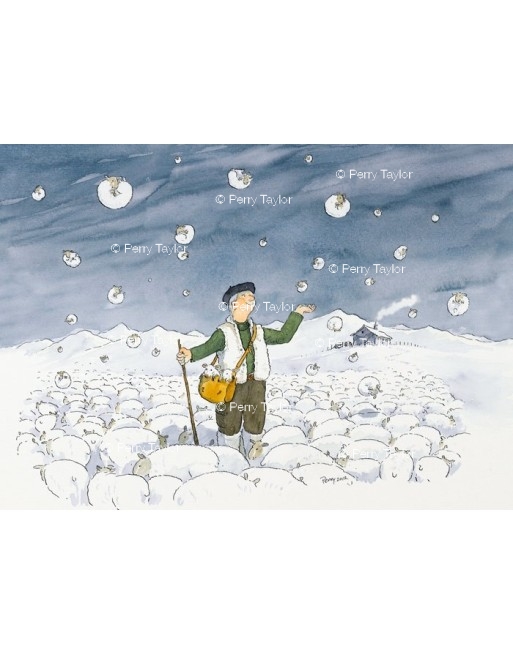 Snowing Sheep