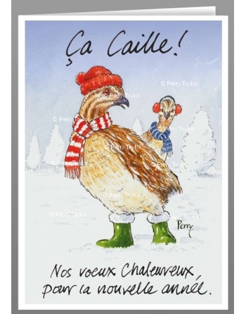 Ca caille ! (it's freezing!) Sending warmest wishes.