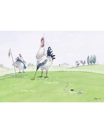 Cockerel egg putt