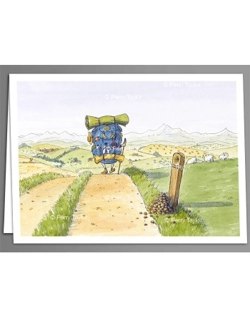 Pilgrim back pack x 5 greeting cards