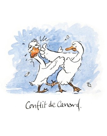 Conflit de Canard