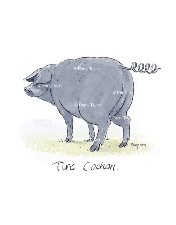 Tire Cochon Tail