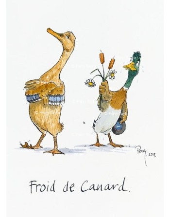 Froid de canard