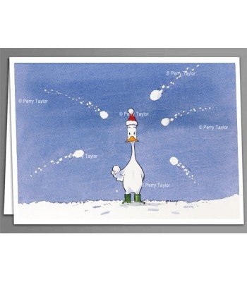 Snowballed duck greeting card