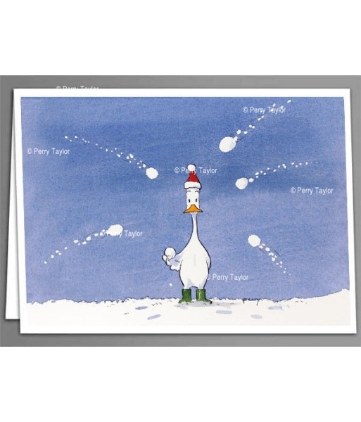 Snowballed duck greeting card Snowballed duck greeting card