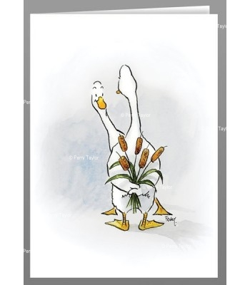 Ducks with a bullrush bouquet greeting cards