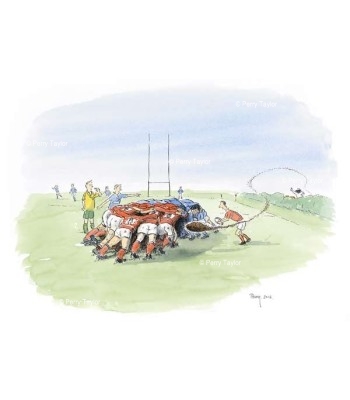 Bees Rugby