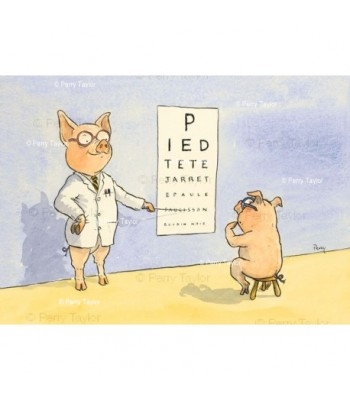 Pig at the opticians