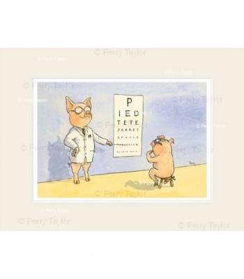 Pig at the opticians