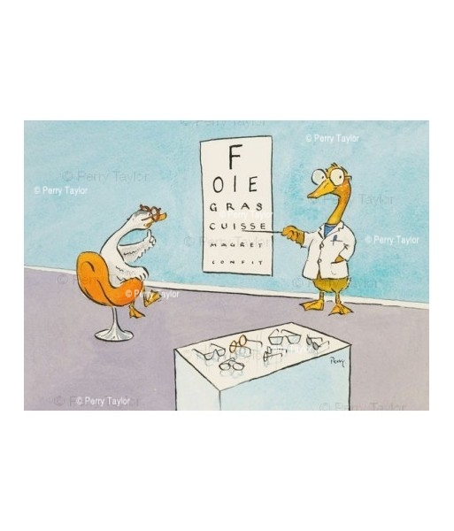 Duck at the opticians