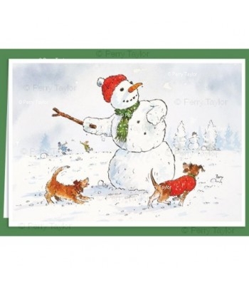 Snowman throwing stick,...