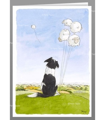 Sheepdog balloons -...