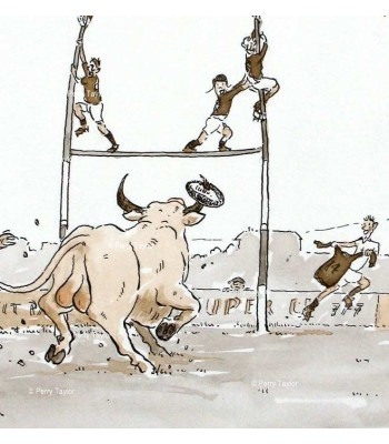 Bull Rugby