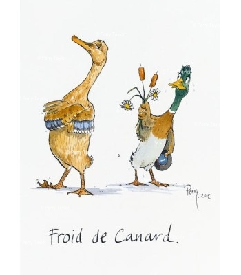 Froid de canard
